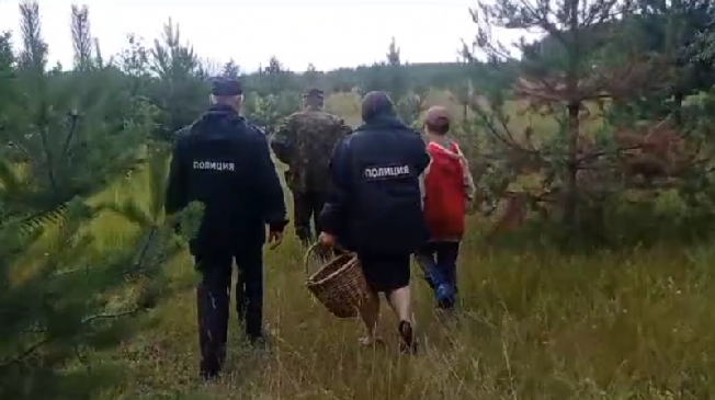 В Ивановской области в лесу заблудился 10-летний грибник