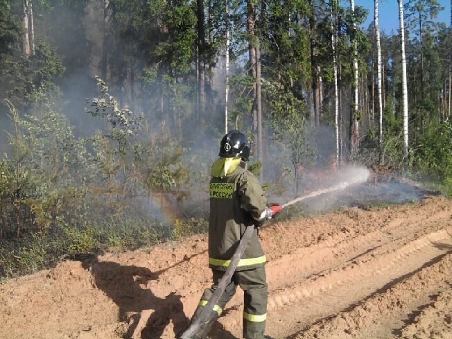 Почти 400 раз ивановские пожарные выезжали на тушение горящей сухой травы