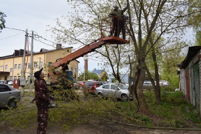 В Иванове снесут 25 аварийных деревьев