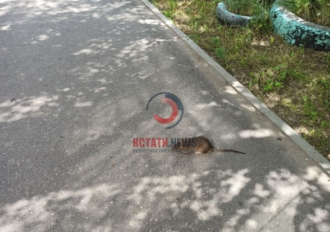 � ������ ������� �� ������ ������ �����