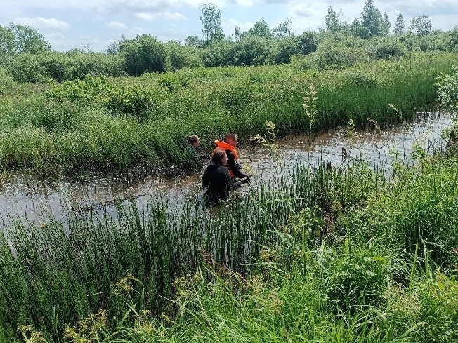 Водолазы нашли тело пропавшего жителя Ивановской области