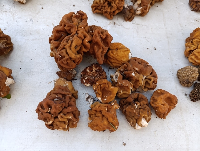 � ����� ���������� ������� ��������� ������ �����