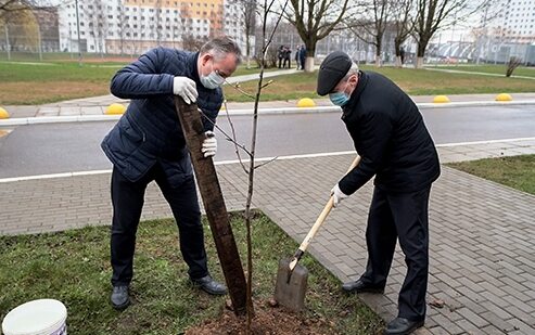 Три городских парка в Иванове приведут в порядок