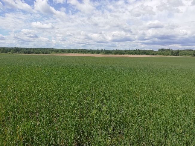 ����� ������� ������� ���������� ������������ ��������������� ����� 210 �������� ��� ����������� �����