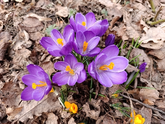 ��������� ������ ����������� �� ������� ��������� � ���������� ������� 