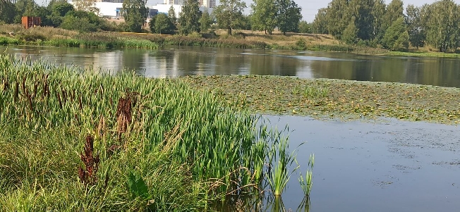Утонул ребёнок и 17 взрослых с начала лета в Ивановской области
