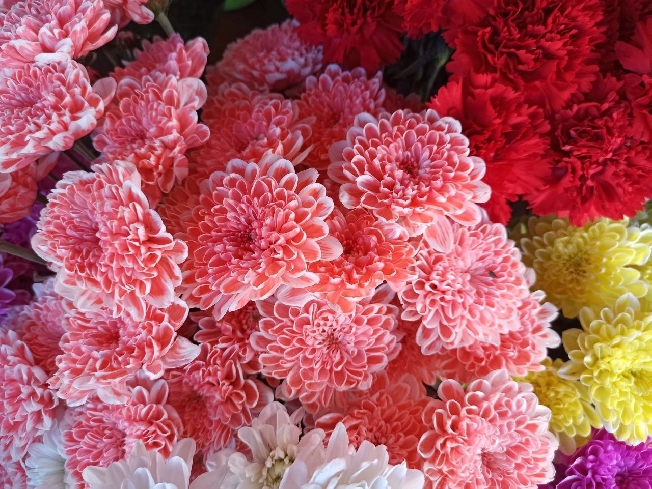 � ������������� ������� ���� 24 ��������������� �� ���������� ������� ������� ��� ��������