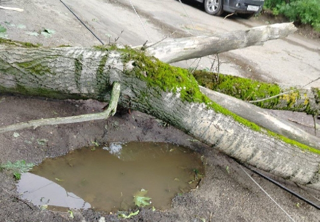 8 муниципалитетов Ивановской области пострадали от урагана «Эдгар»