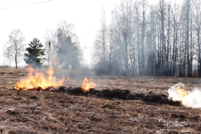 В Ивановской области начали штрафовать за костёр в лесу