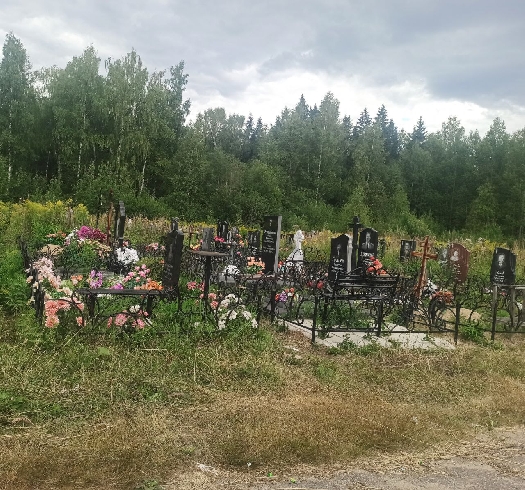 Жители Кинешемского района выступают против строительства кладбища у их деревни