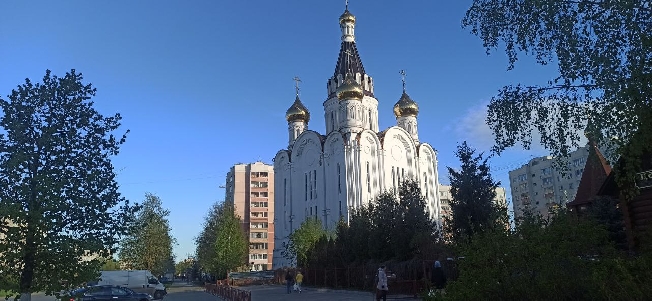 В Иваново прибудет одна из самых почитаемых икон в Русской Православной Церкви