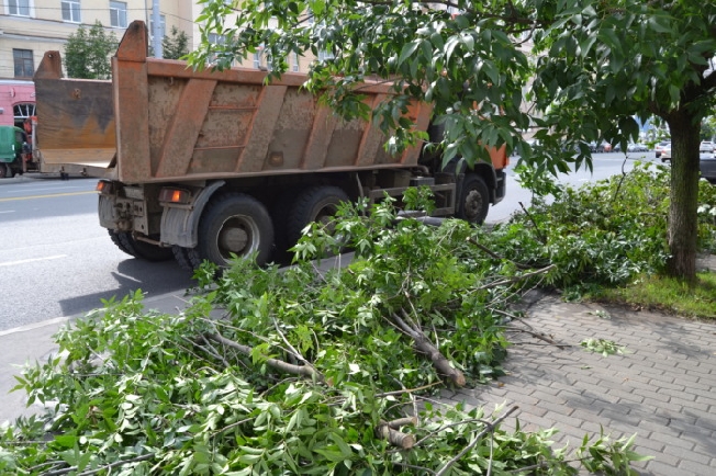 Опасные ветви деревьев обрезают в Иванове