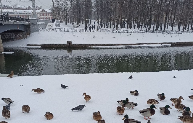 Аномальное тепло наступает на Ивановскую область