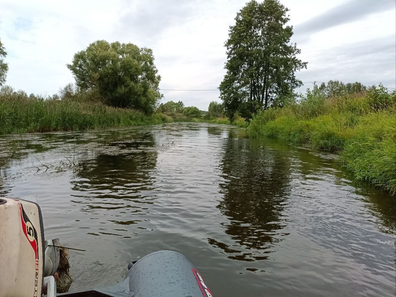 Алик уводи