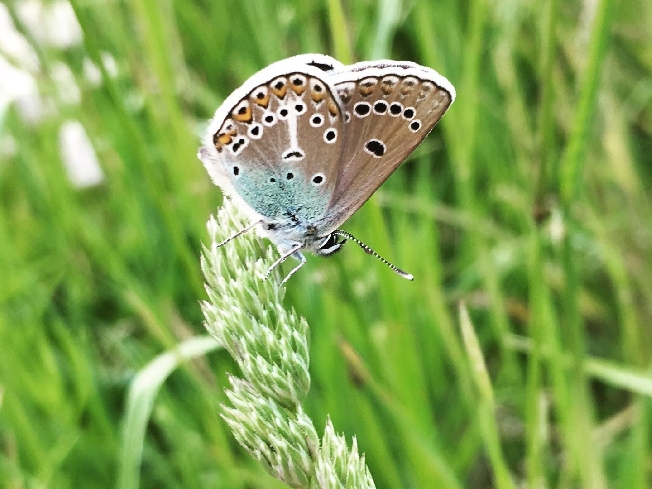 ������� ���������� � ���������� ������� ������ ������� ���������� �������