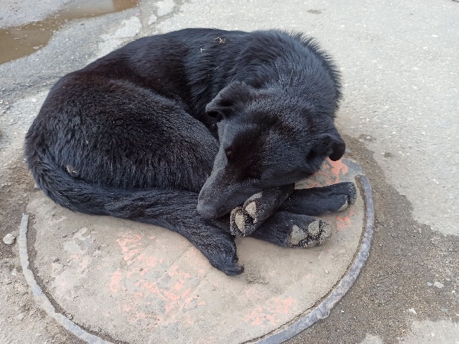 ���������� ��� � ���������� ������� ������� ������ ������