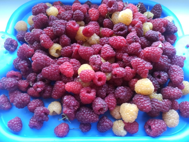 ����� �����-��� �������� ������� ���������� ��������