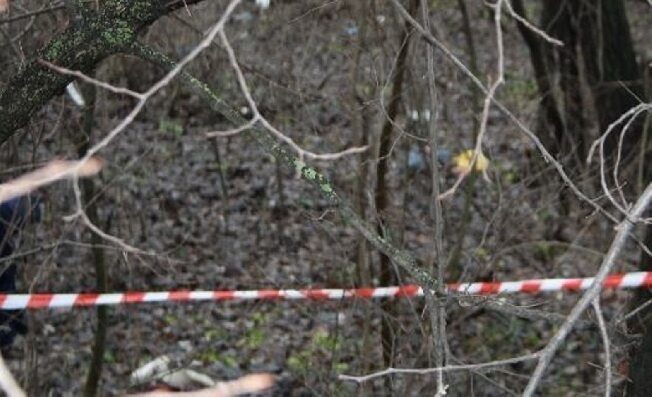 В лесу под Ивановом нашли труп женщины