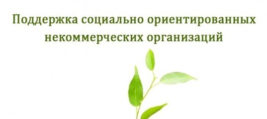 Автономная некоммерческая организация центр поддержки социальных проектов