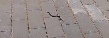 � ������� ������� � �������������� ������� ������� ��