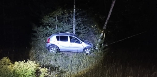 В Ивановской области женщина-водитель сбила двух кабанов и влетела в дерево