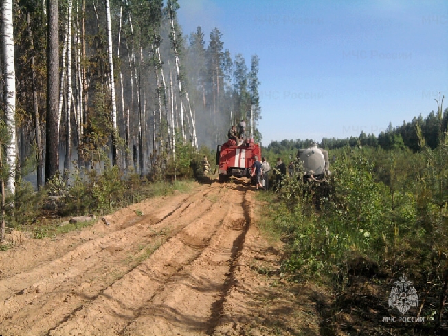 В одном из районов Ивановской области загорелся лес