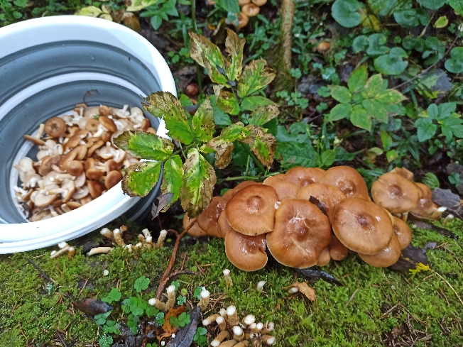 ���������� ������� ������� ������� ��� � ������