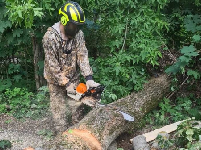 Ураган повредил в Иванове более 120 деревьев