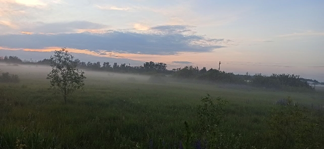 ����������� ������� ������ ������� � ����� ����������� ���������