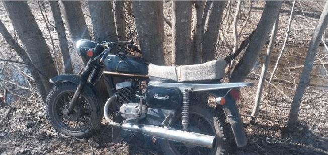 Ивановский мотоциклист убил кабана на большой дороге