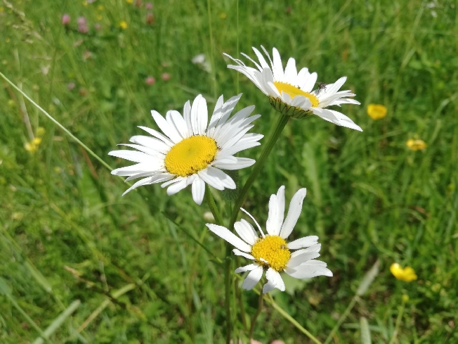 �������� ��������� ��������� ��� ��������� ����� ����������� ������ ���������� �������