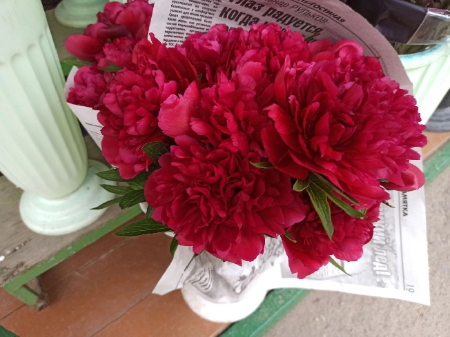 Грозовые выходные пообещали жителям Ивановской области