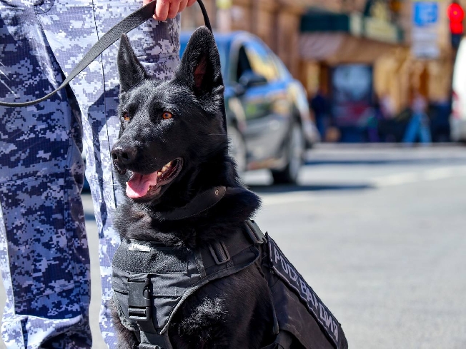 ������� ������������� ���������� �� �� ������� �������� �������� � �������