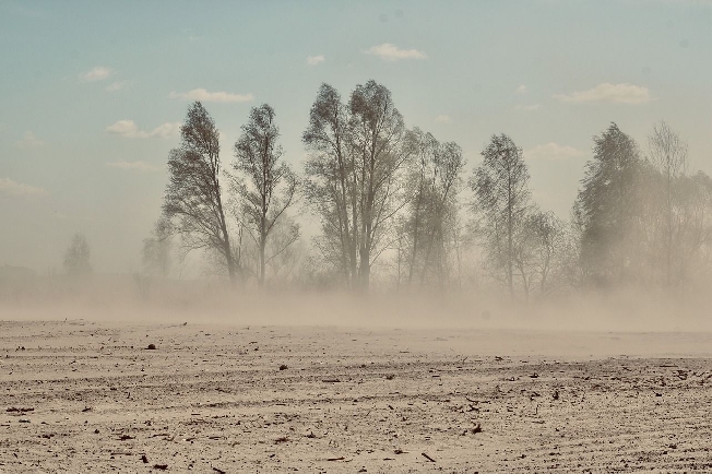 Иваново накрыла песчаная буря