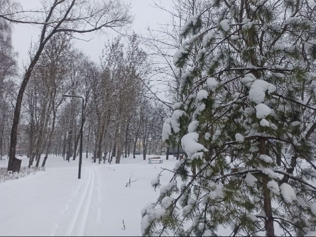 ����� ����������� ���������� ������� ������ ������