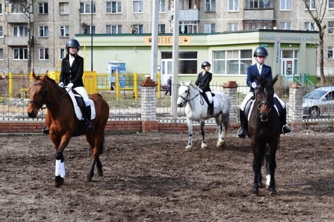 Первенство города по конному спорту стартовало в Иванове