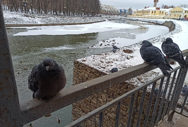 Лютые холода начались в Ивановской области