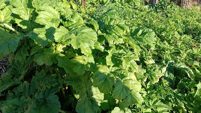 � ���������� ������� ������������ �������� ������ �������� ��������