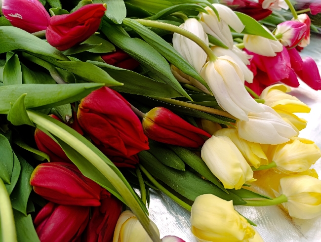 ������� ������� ����� ���������������� ��������