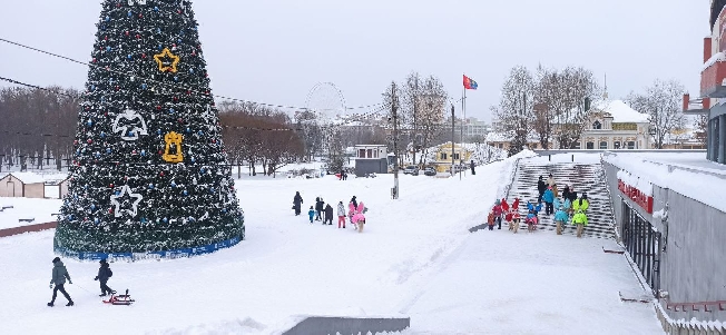 Новогодние огни зажглись на ёлках на площадях и в парках Иванова