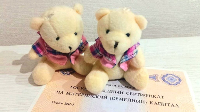 Почти 400 семей Ивановской области направили маткапитал на образование детей