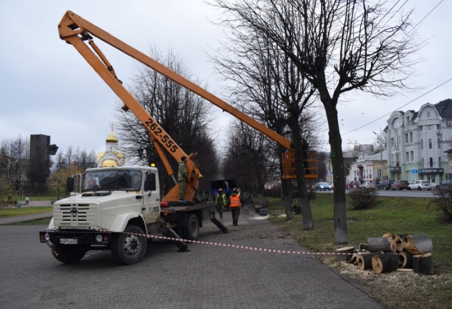 В сквере на площади Революции в Иванове вырубили опасные деревья