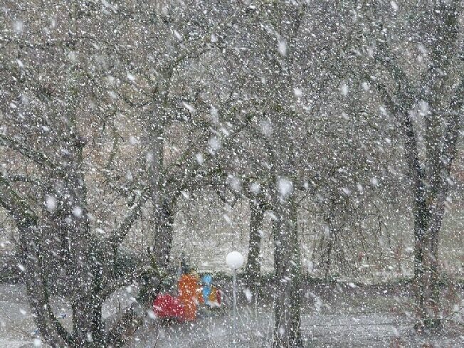 За ночь в Ивановской области выпала месячная норма снега
