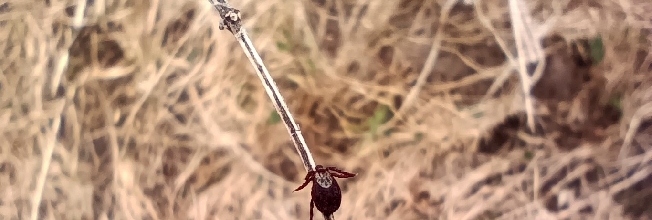 ����� �������� 15 ������� � ���������� �������