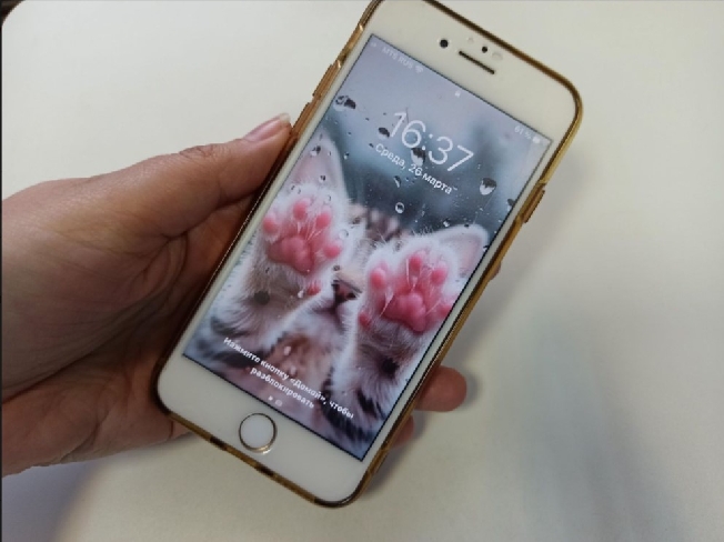 �������-��������� �� ������� ������ ���������� ������ ������