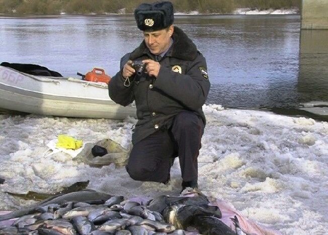 В Ивановской области полиция возбуждает уголовные дела на рыбаков