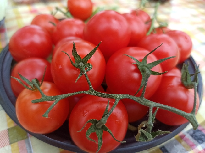  ���������� ����������� ������� � �������� ���������