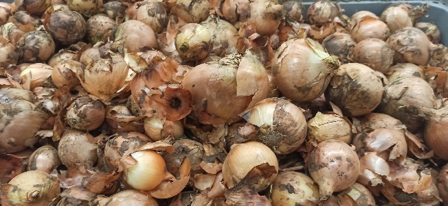 ������� ������ �� 20 ����� ������ �� 1 �� ���������� ��������� �� �������������