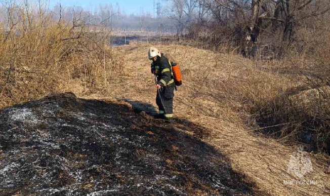 19 раз за сутки ивановские пожарные тушили горящую траву