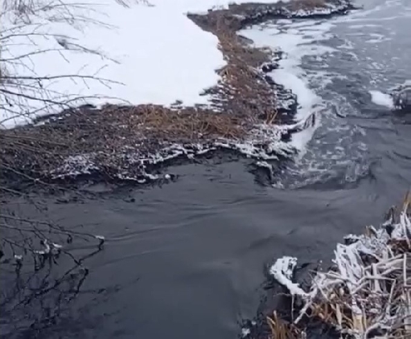 На сброс краски в водоёмы продолжают жаловаться жители Родников